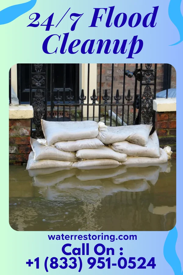 24/7 Flood Cleanup in Dolton, SD